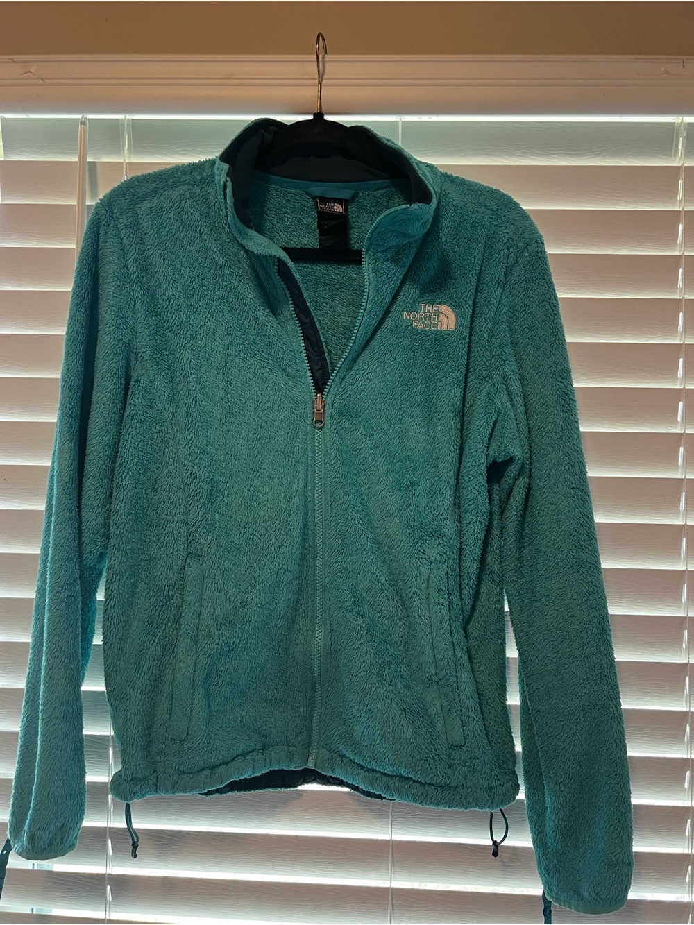 The North Face Teal Teddy Fleece Jacket